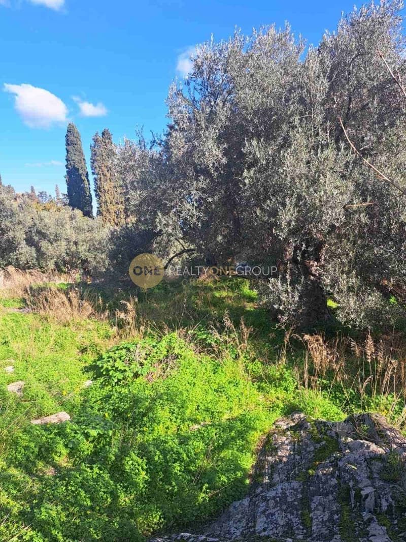 Αγροτεμάχιο στην Λάμυρα, Άνδρος — Φωτογραφία 2 από 11