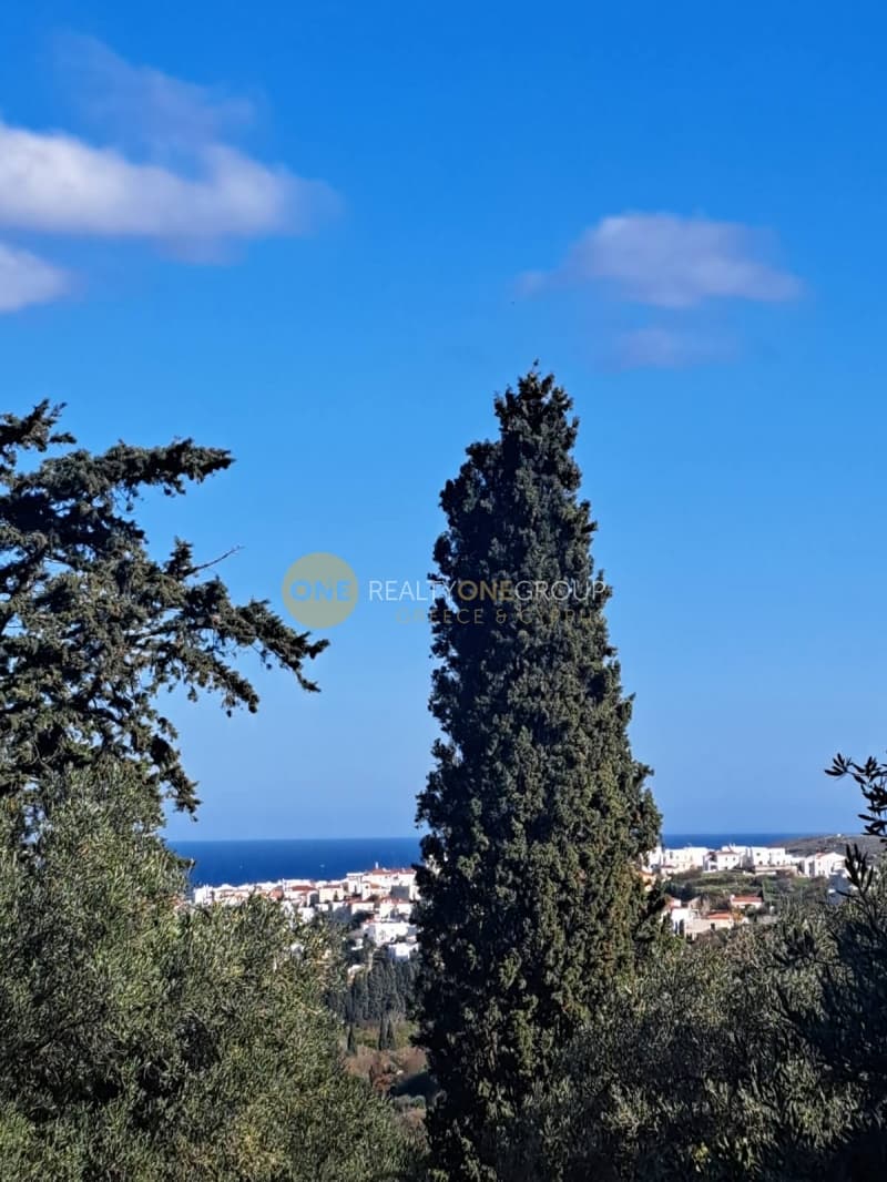 Αγροτεμάχιο στην Λάμυρα, Άνδρος — Φωτογραφία 4 από 11