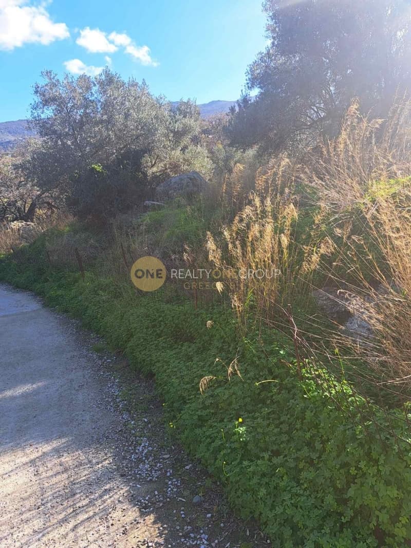 Αγροτεμάχιο στην Λάμυρα, Άνδρος — Φωτογραφία 5 από 11