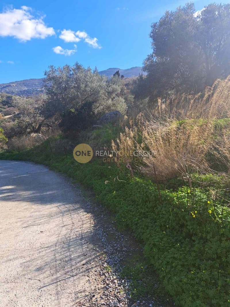 Αγροτεμάχιο στην Λάμυρα, Άνδρος — Φωτογραφία 6 από 11