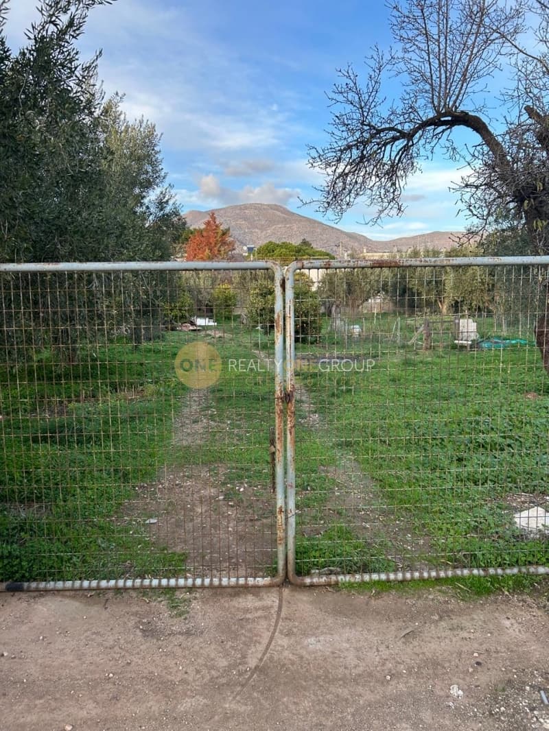 Building Plot in Kalivia, Kalivia Thorikou — Photo 3 of 4