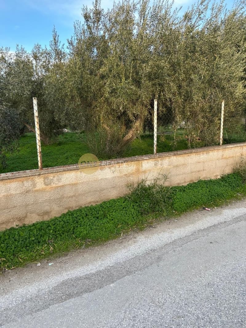 Building Plot in Kalivia, Kalivia Thorikou — Photo 4 of 4