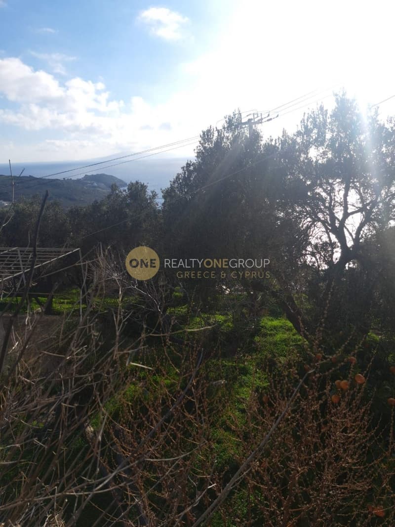 Αγροτεμάχιο στην Άνω Απρόβατο, Άνδρος — Φωτογραφία 6 από 20