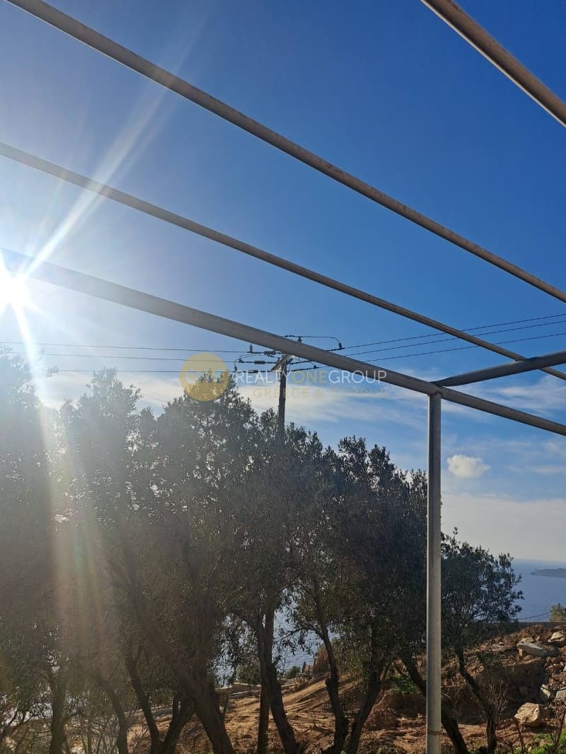 Αγροτεμάχιο στην Άνω Απρόβατο, Άνδρος — Φωτογραφία 15 από 20