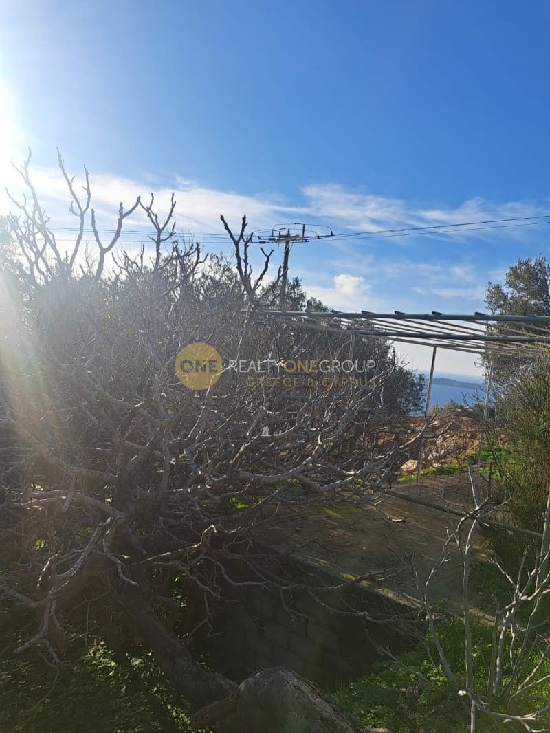 Αγροτεμάχιο στην Άνω Απρόβατο, Άνδρος — Φωτογραφία 20 από 20