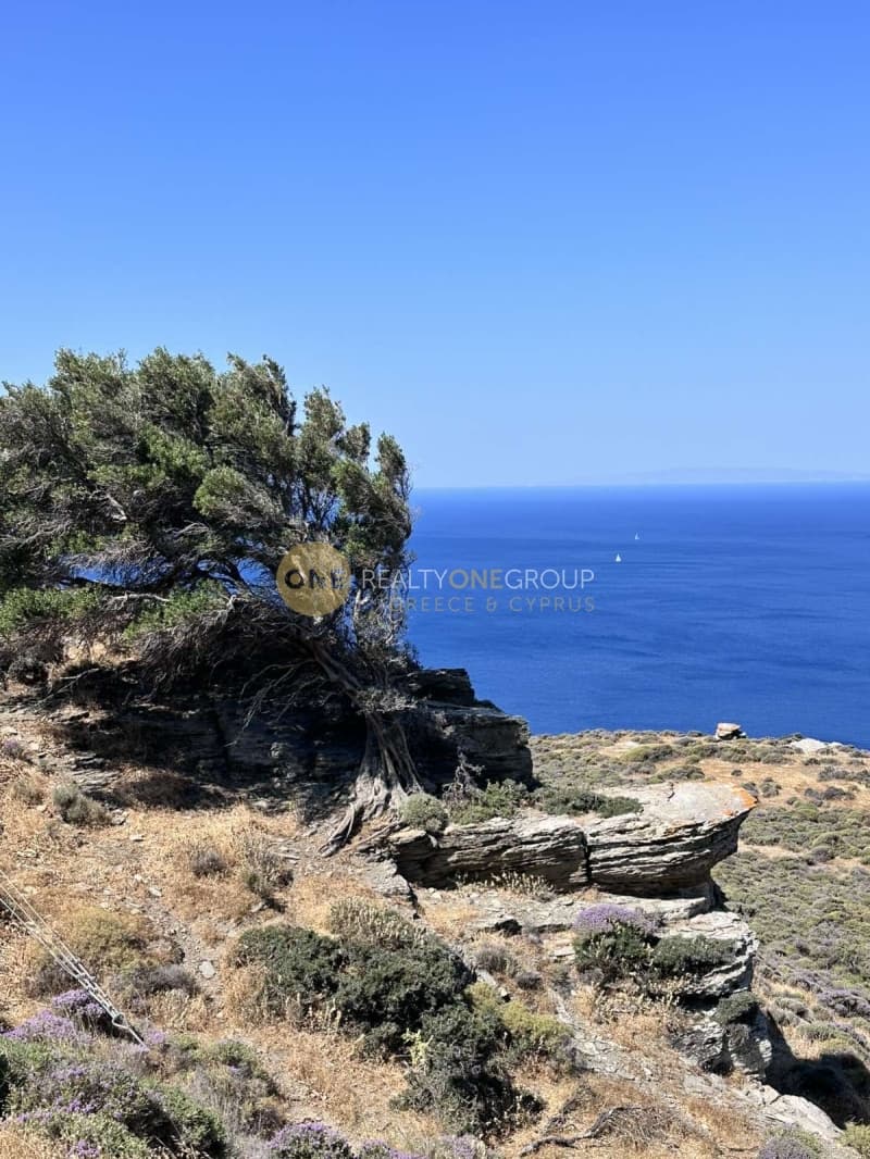 Αγροτεμάχιο στην Παλαιόπολη, Άνδρος — Φωτογραφία 16 από 21