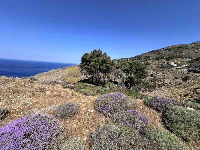 Αγροτεμάχιο στην Παλαιόπολη, Άνδρος — Φωτογραφία 17 από 21