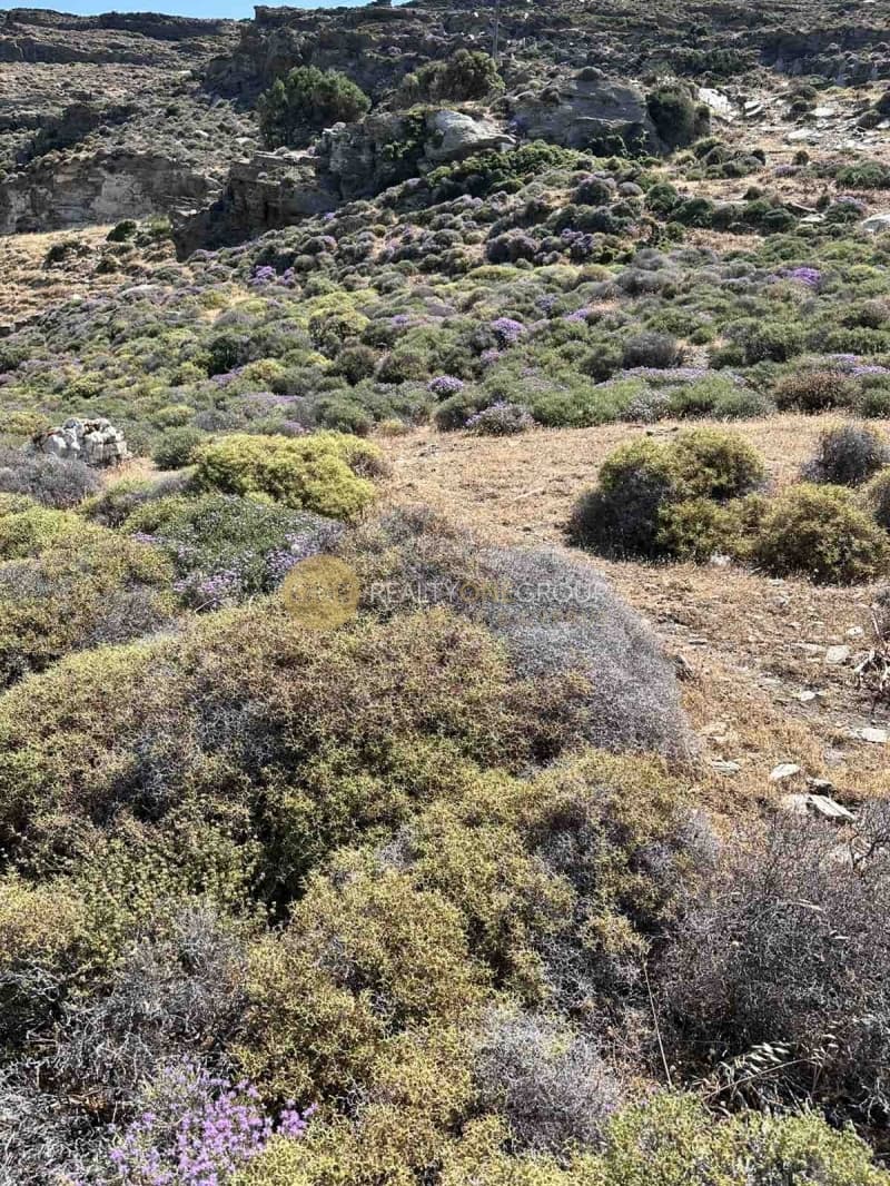 Αγροτεμάχιο στην Παλαιόπολη, Άνδρος — Φωτογραφία 13 από 21