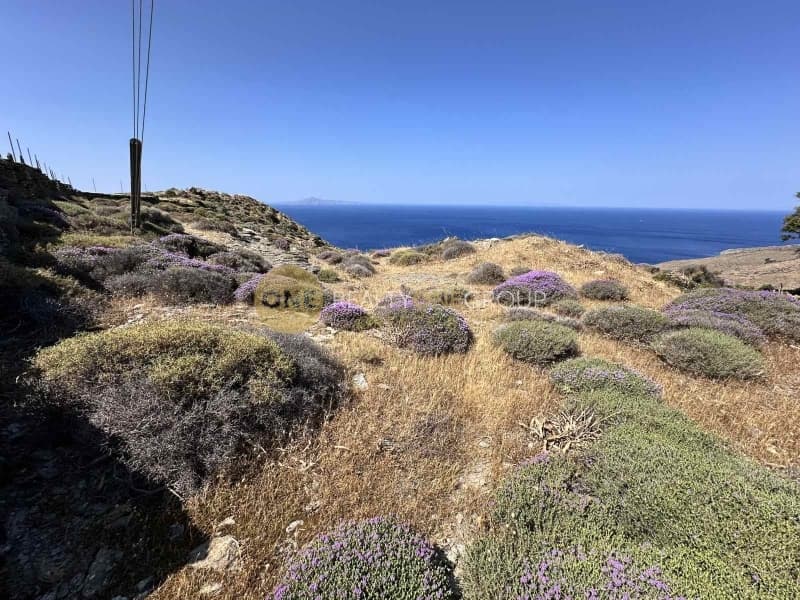Αγροτεμάχιο στην Παλαιόπολη, Άνδρος — Φωτογραφία 15 από 21