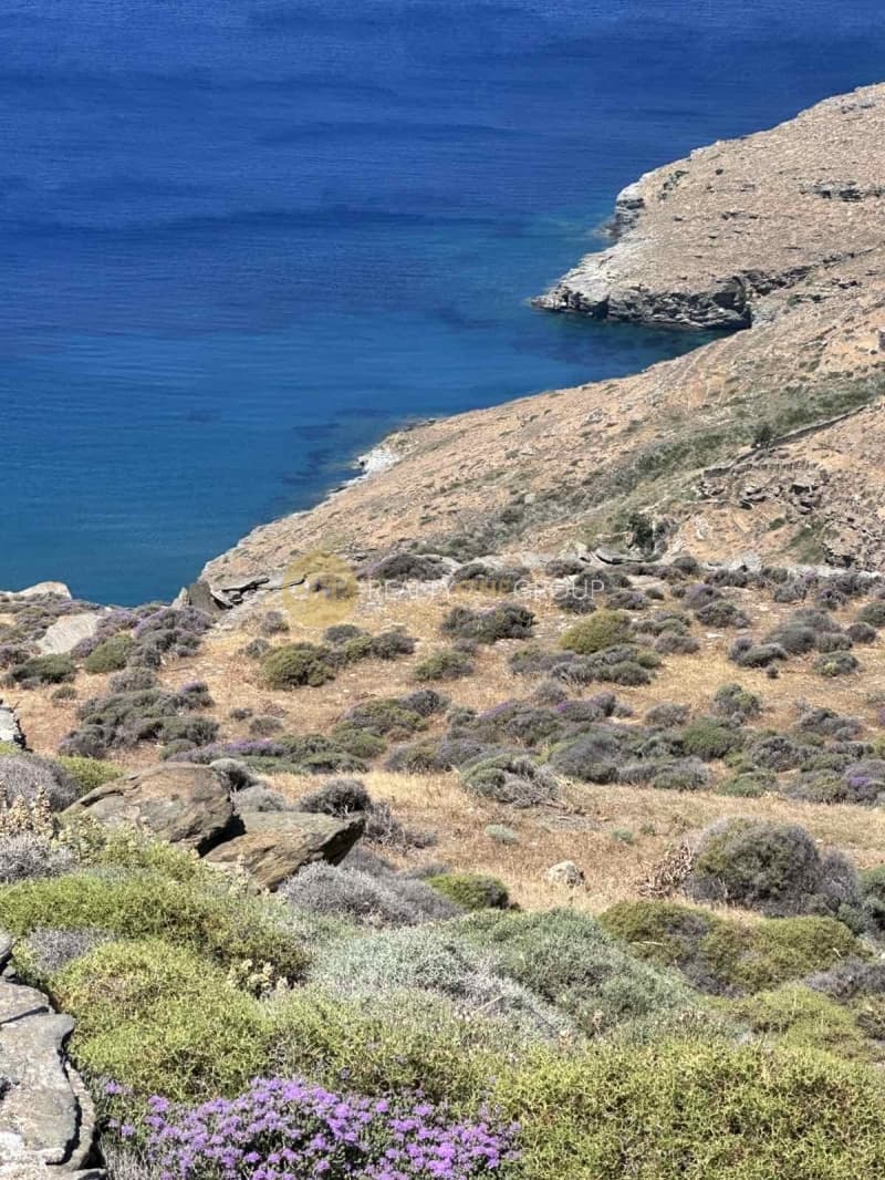 Αγροτεμάχιο στην Παλαιόπολη, Άνδρος — Φωτογραφία 11 από 21