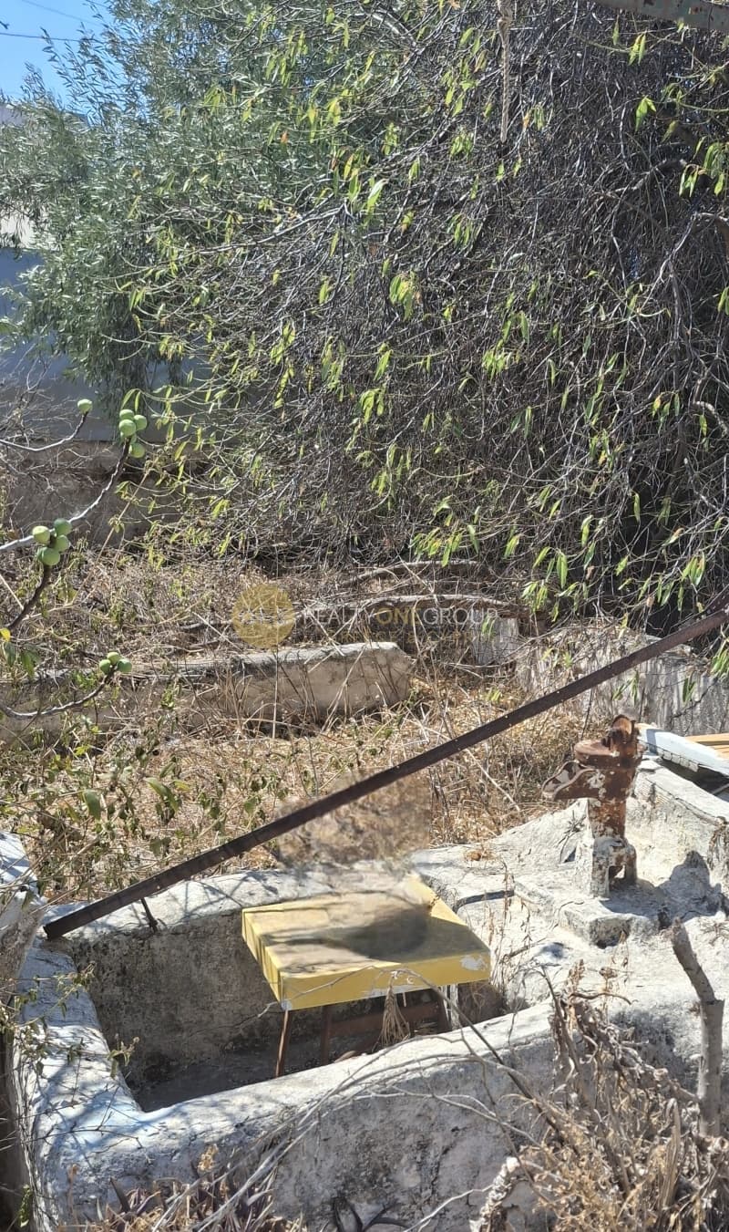 House in Selinia, Salamina — Photo 9 of 24
