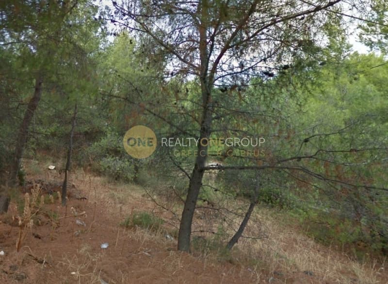 Οικόπεδο στην Αδάμες (Οικισμός Πελοποννησίων), Κηφισιά — Φωτογραφία 3 από 3