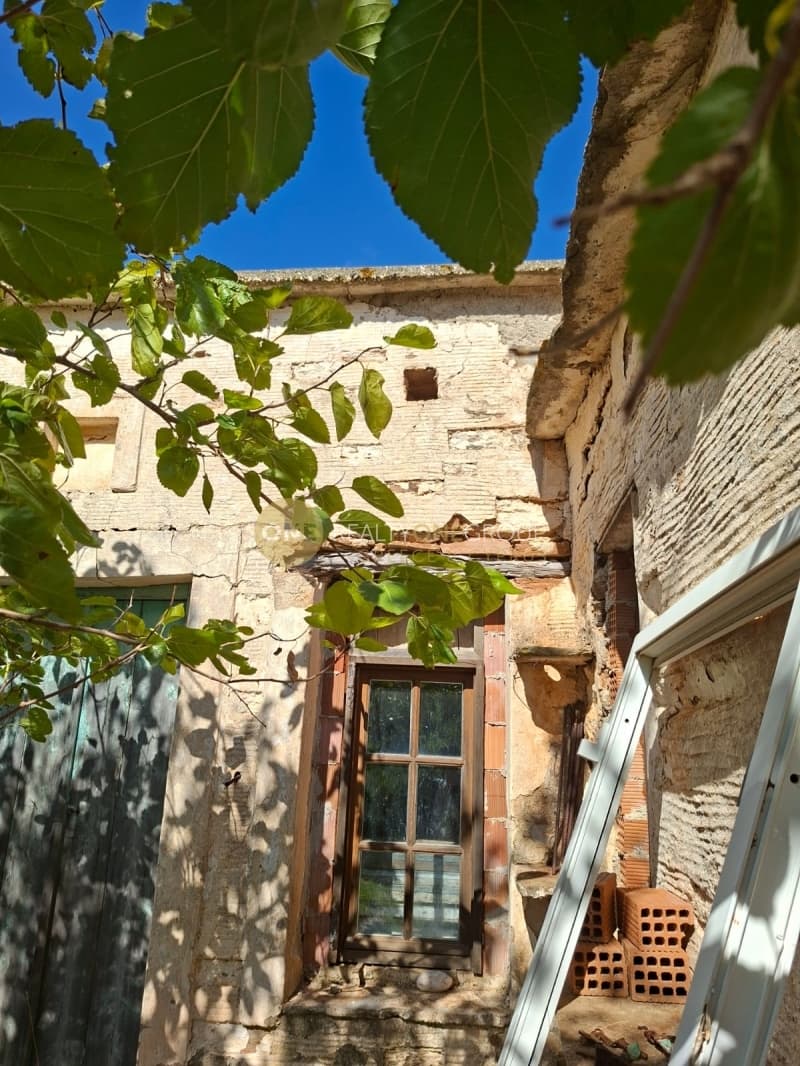 Αγροτεμάχιο στην Άνω Γαύριο, Άνδρος — Φωτογραφία 15 από 30