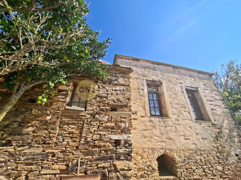 Αγροτεμάχιο στην Άνω Γαύριο, Άνδρος — Φωτογραφία 19 από 30