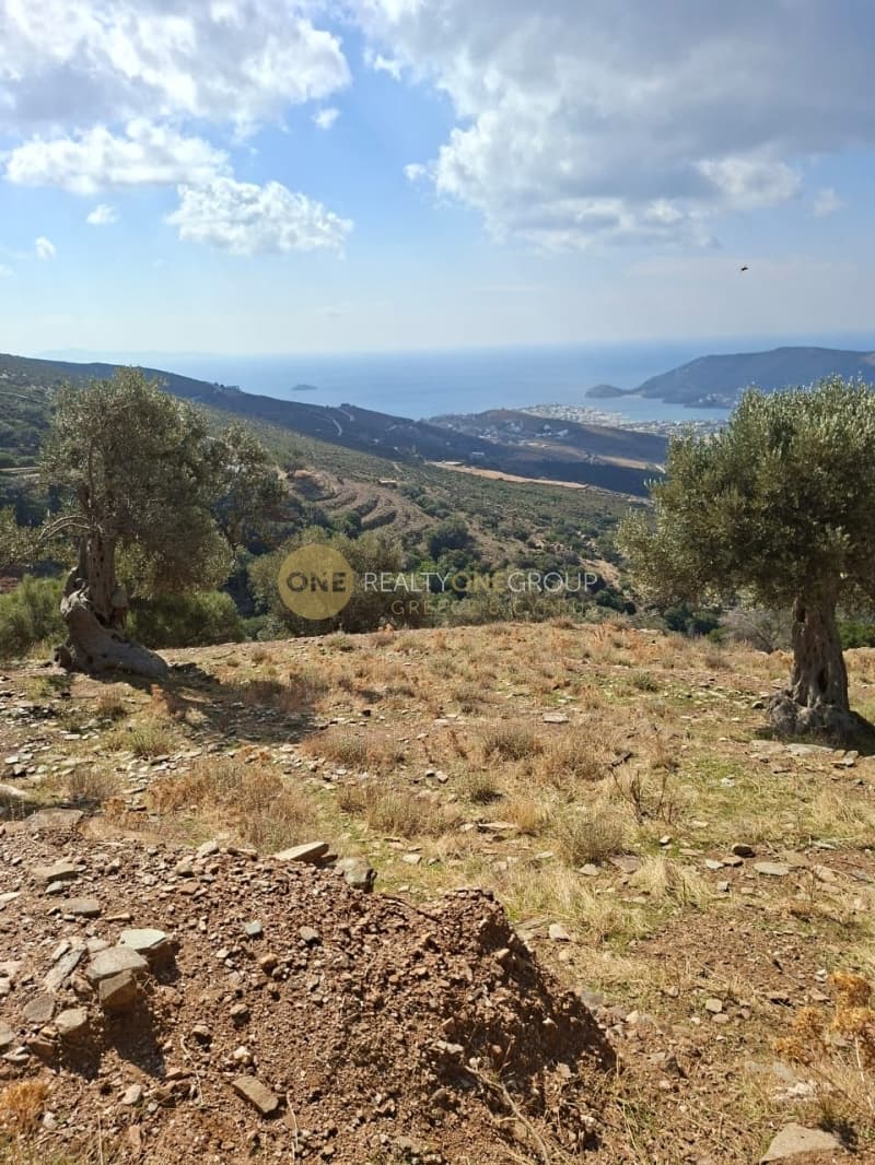 Αγροτεμάχιο στην Άνω Γαύριο, Άνδρος — Φωτογραφία 12 από 30