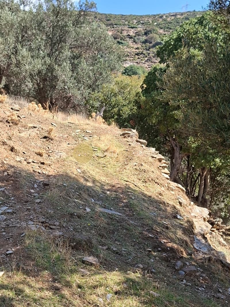 Αγροτεμάχιο στην Άνω Γαύριο, Άνδρος — Φωτογραφία 2 από 30