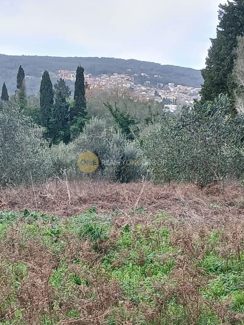 Parcel in Palaiokastritsa, Corfu — Photo 6 of 14