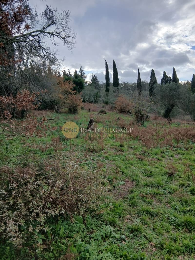 Parcel in Palaiokastritsa, Corfu — Photo 8 of 14
