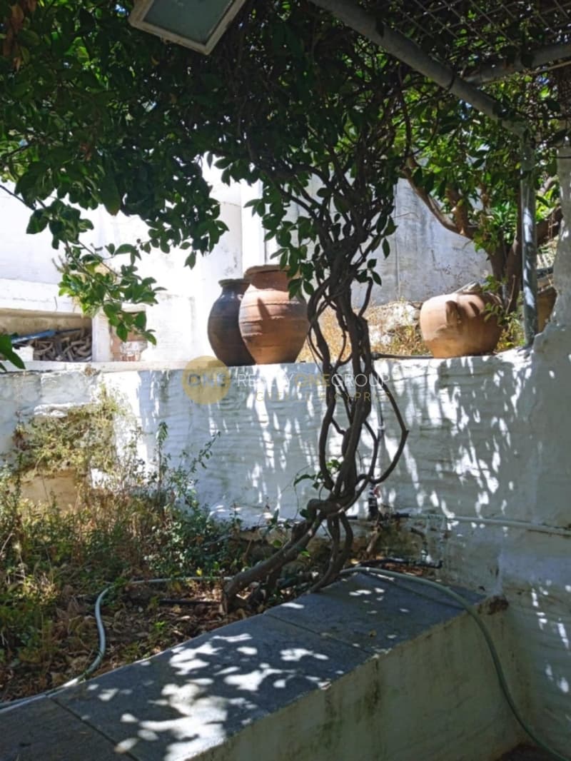Μονοκατοικία στην Κόρθι, Άνδρος — Φωτογραφία 4 από 30