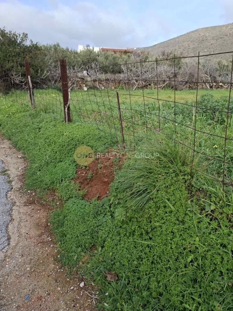 Αγροτεμάχιο στην Γαύριο, Άνδρος — Φωτογραφία 23 από 24