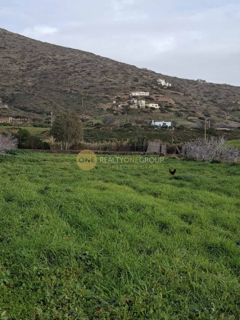 Αγροτεμάχιο στην Γαύριο, Άνδρος — Φωτογραφία 5 από 24