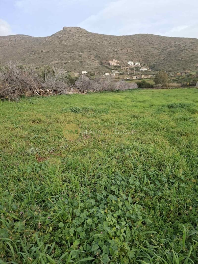 Αγροτεμάχιο στην Γαύριο, Άνδρος — Φωτογραφία 22 από 24