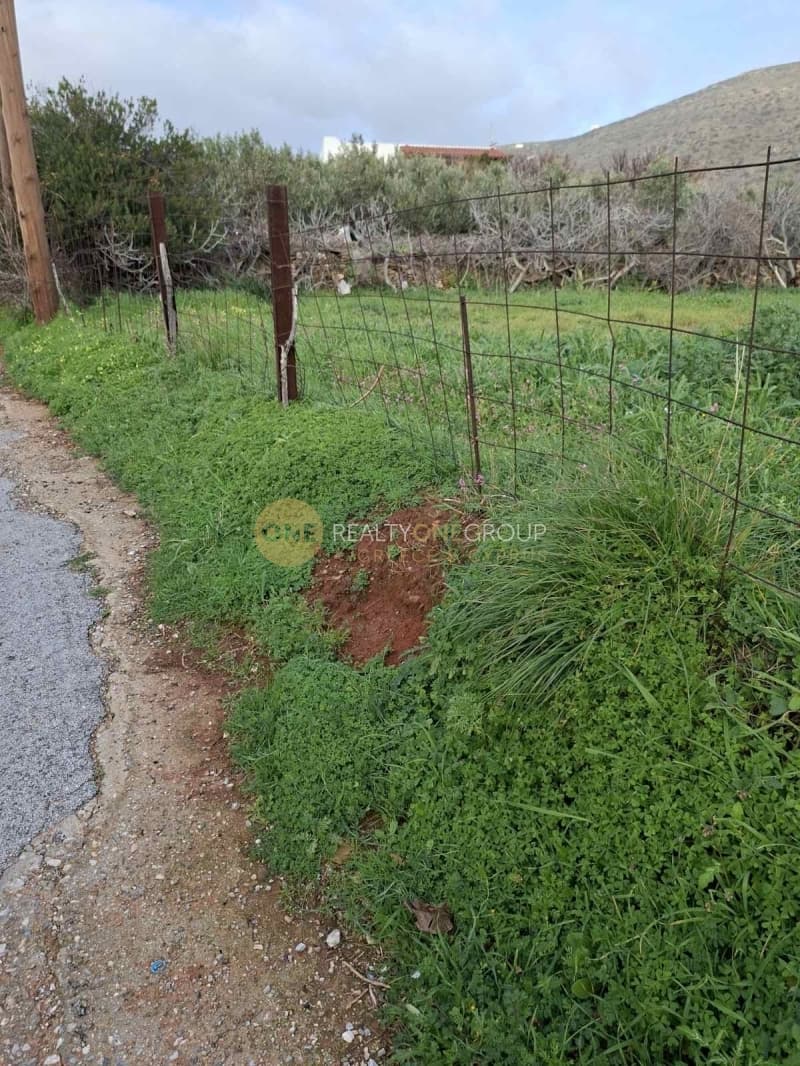 Αγροτεμάχιο στην Γαύριο, Άνδρος — Φωτογραφία 24 από 24