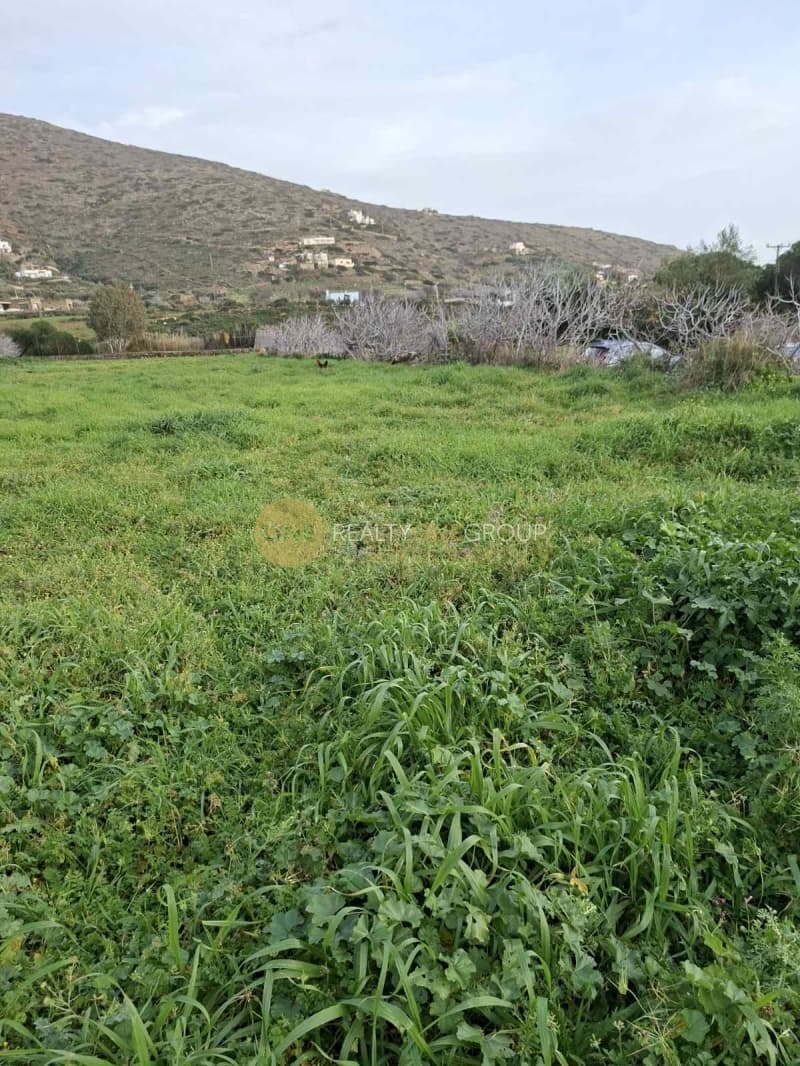 Αγροτεμάχιο στην Γαύριο, Άνδρος — Φωτογραφία 19 από 24