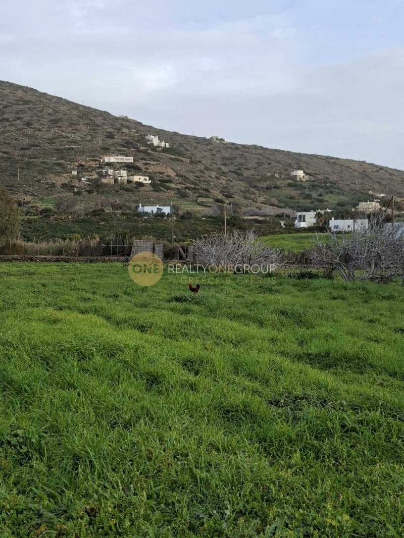 Αγροτεμάχιο στην Γαύριο, Άνδρος — Φωτογραφία 18 από 24