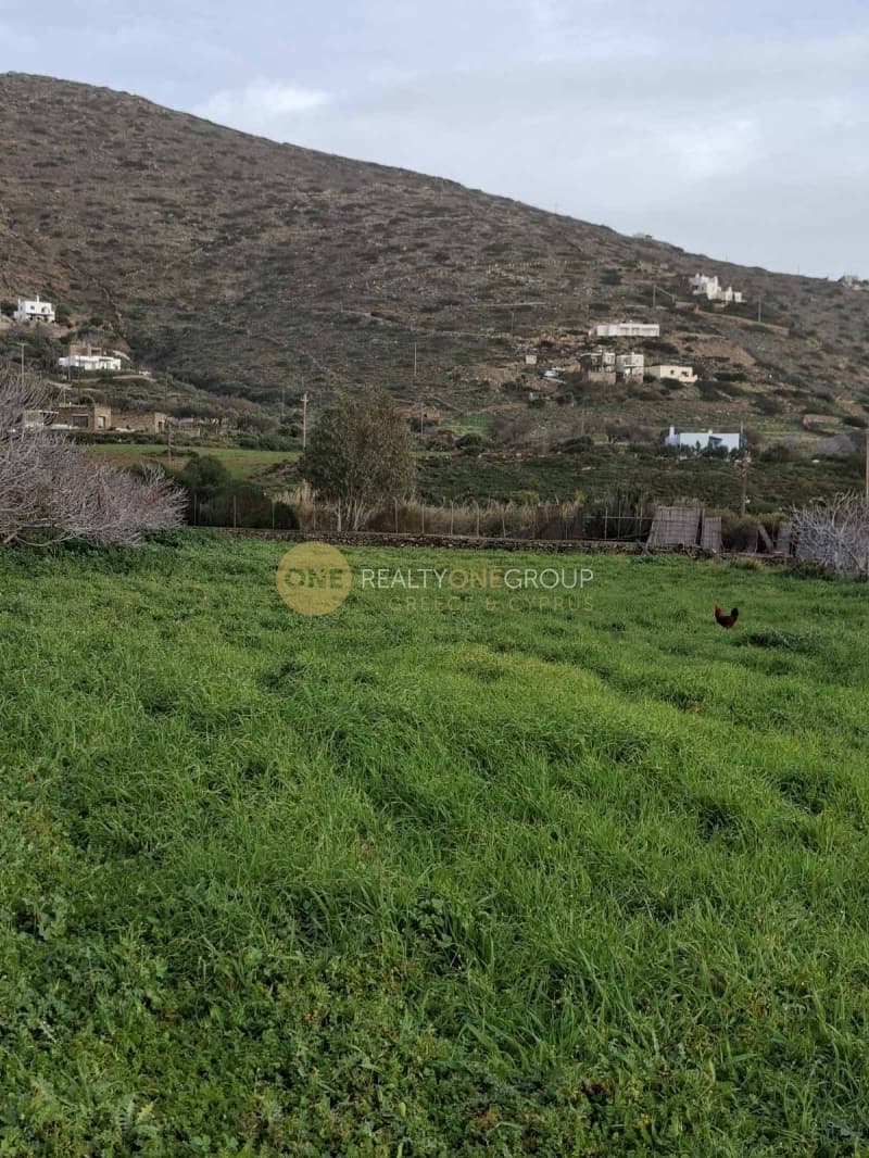Αγροτεμάχιο στην Γαύριο, Άνδρος — Φωτογραφία 4 από 24