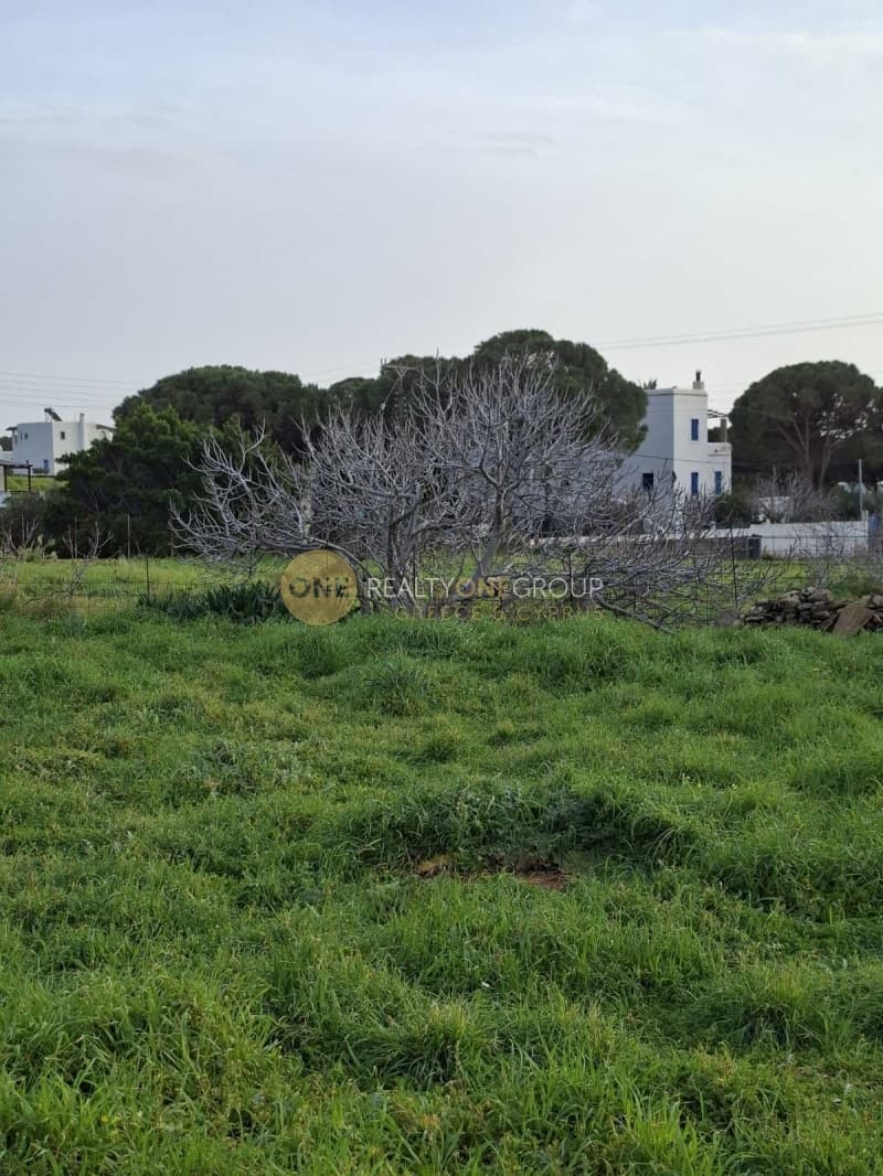 Αγροτεμάχιο στην Γαύριο, Άνδρος — Φωτογραφία 9 από 24