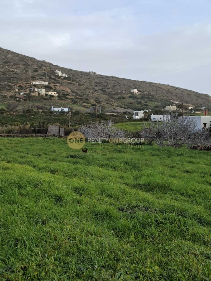 Αγροτεμάχιο στην Γαύριο, Άνδρος — Φωτογραφία 2 από 24