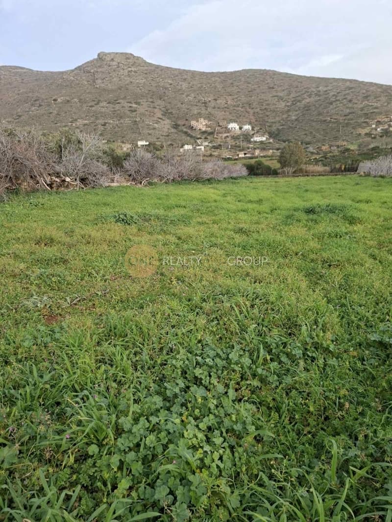 Αγροτεμάχιο στην Γαύριο, Άνδρος — Φωτογραφία 20 από 24