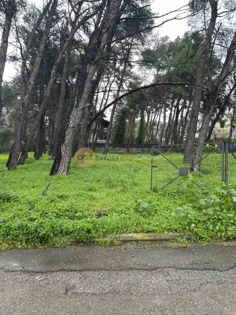 Οικόπεδο στην Κεφαλάρι, Κηφισιά — Φωτογραφία 3 από 9