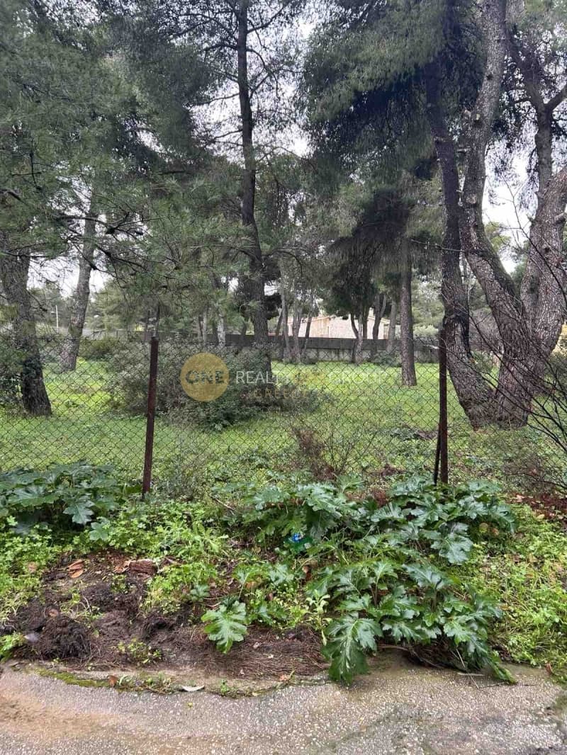Building Plot in Kefalari, Kifisia — Photo 5 of 10
