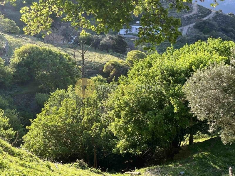 Μονοκατοικία στην Καλυβάρι, Άνδρος — Φωτογραφία 3 από 30
