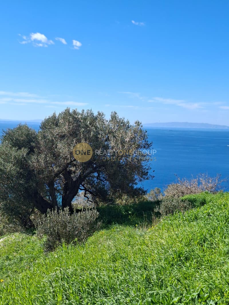 Οικόπεδο στην Παλαιόπολη, Άνδρος — Φωτογραφία 4 από 29