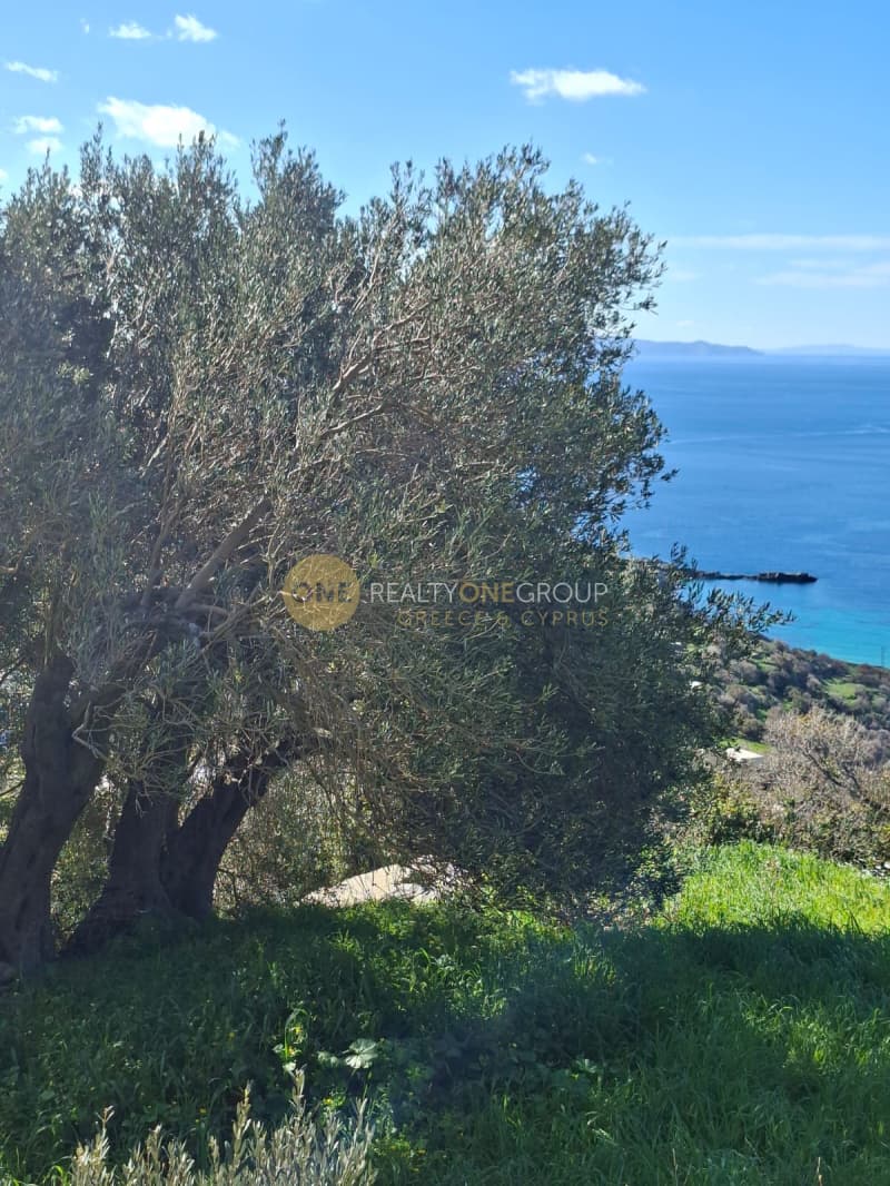 Οικόπεδο στην Παλαιόπολη, Άνδρος — Φωτογραφία 20 από 29