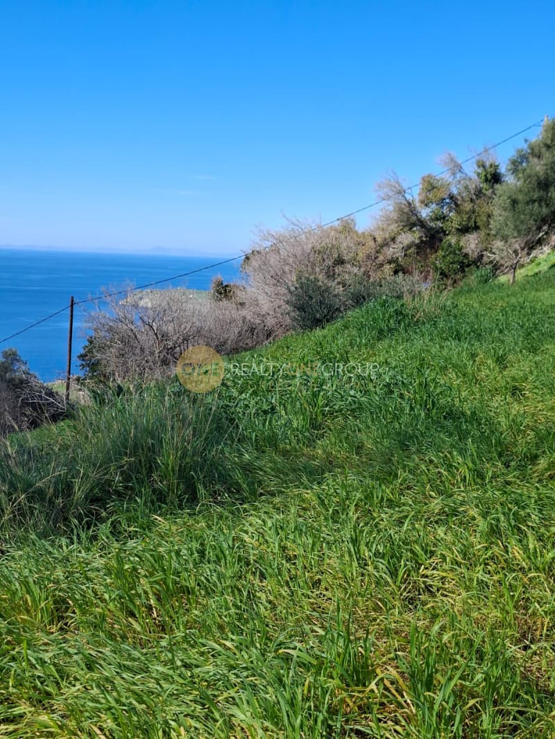Οικόπεδο στην Παλαιόπολη, Άνδρος — Φωτογραφία 22 από 29