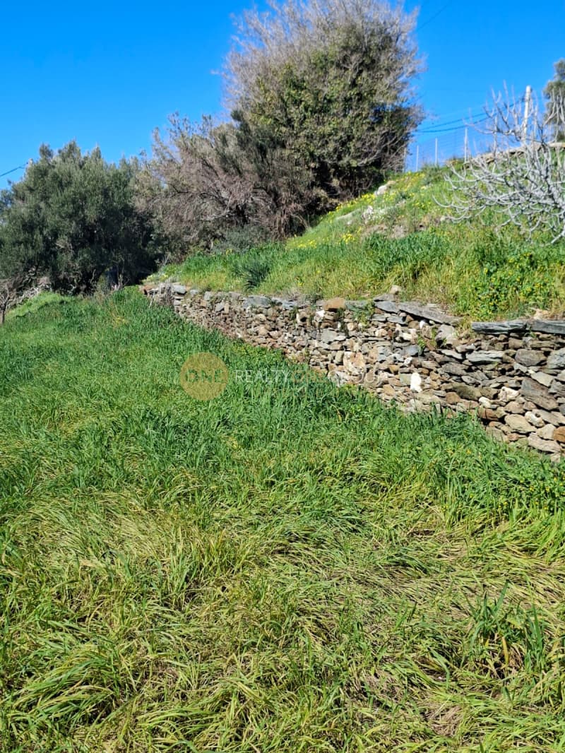 Οικόπεδο στην Παλαιόπολη, Άνδρος — Φωτογραφία 21 από 29