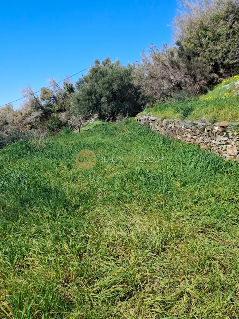 Οικόπεδο στην Παλαιόπολη, Άνδρος — Φωτογραφία 23 από 29