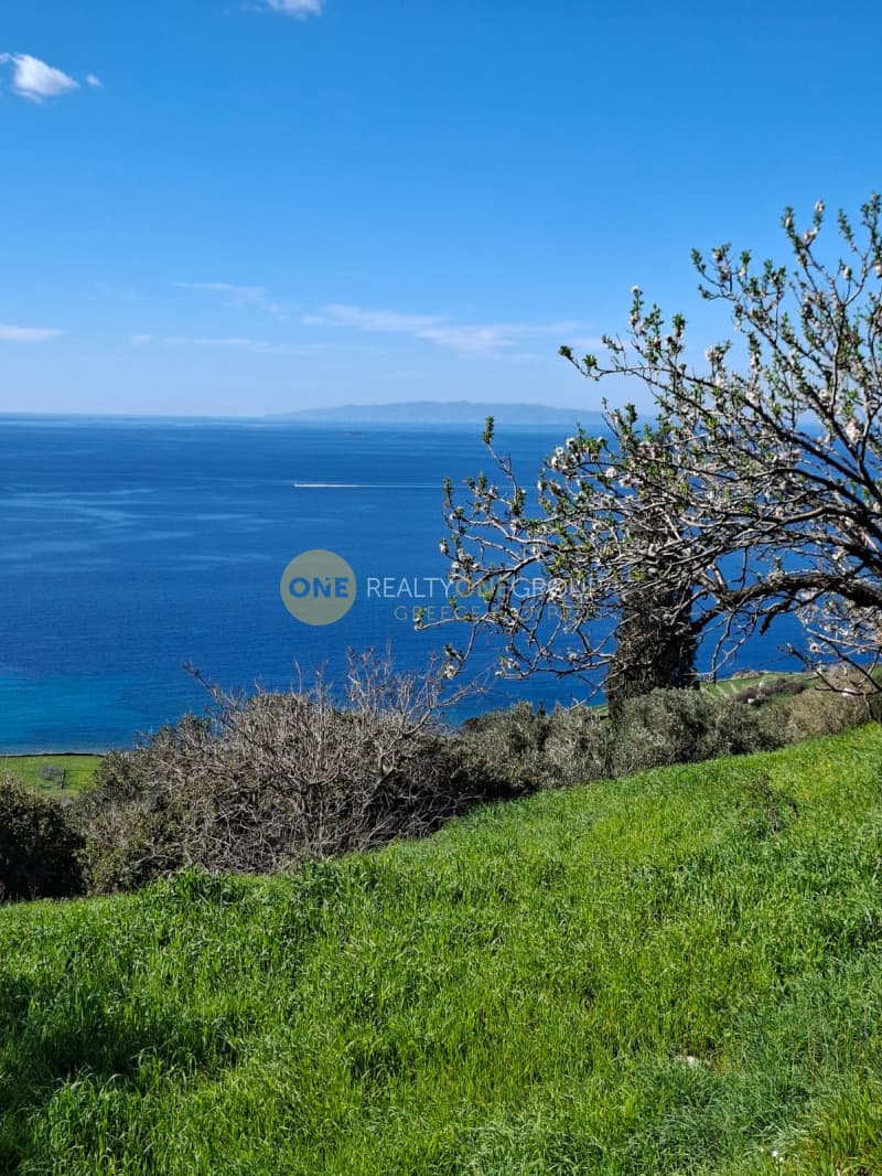 Οικόπεδο στην Παλαιόπολη, Άνδρος — Φωτογραφία 16 από 29