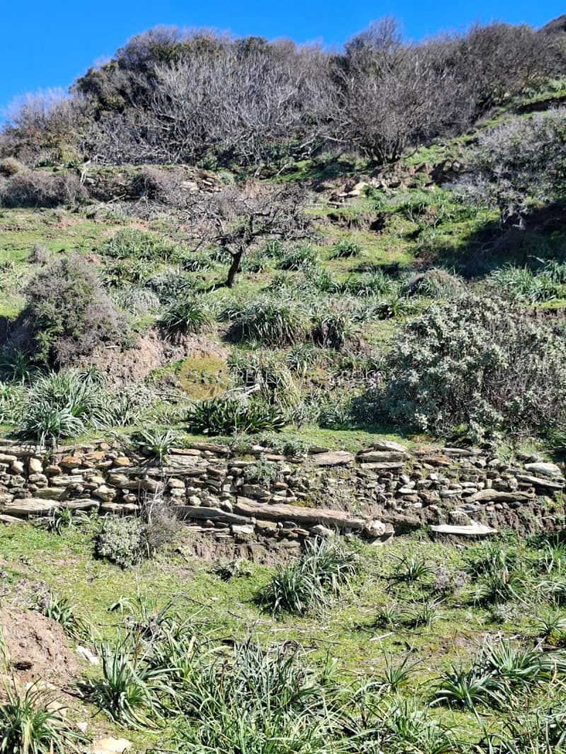Αγροτεμάχιο στην Άνω Απρόβατο, Άνδρος — Φωτογραφία 25 από 28