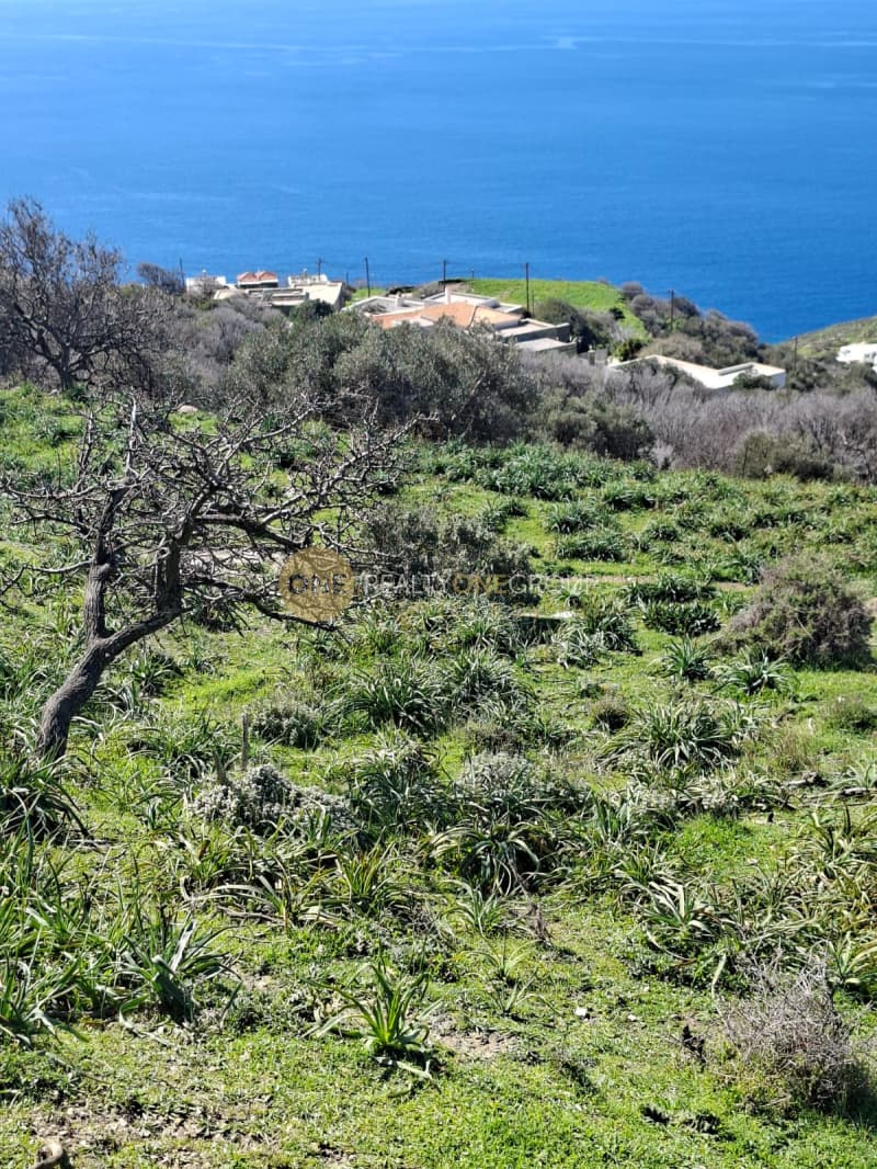 Αγροτεμάχιο στην Άνω Απρόβατο, Άνδρος — Φωτογραφία 20 από 28