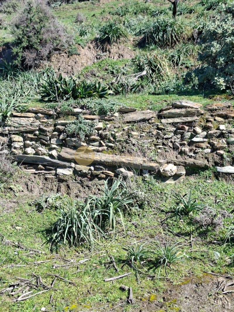 Αγροτεμάχιο στην Άνω Απρόβατο, Άνδρος — Φωτογραφία 3 από 28