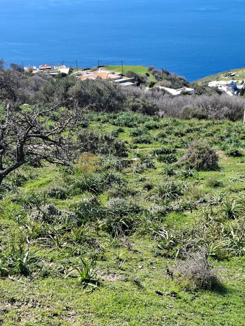 Αγροτεμάχιο στην Άνω Απρόβατο, Άνδρος — Φωτογραφία 23 από 28