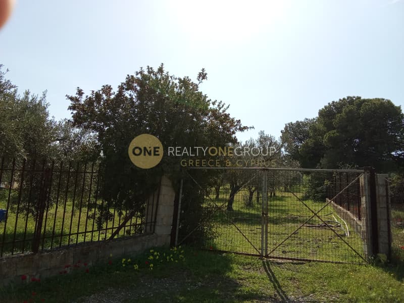 House in Lofos Kselaftaki, Kalivia Thorikou — Photo 10 of 30