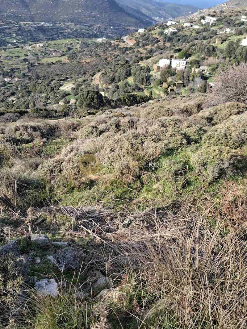 Αγροτεμάχιο στην Άνω Απρόβατο, Άνδρος — Φωτογραφία 15 από 18