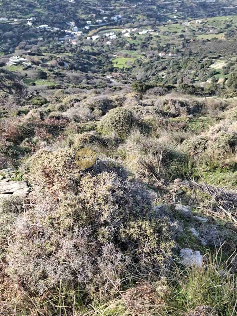 Αγροτεμάχιο στην Άνω Απρόβατο, Άνδρος — Φωτογραφία 16 από 18