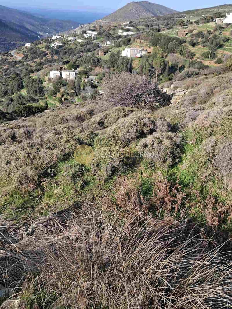 Αγροτεμάχιο στην Άνω Απρόβατο, Άνδρος — Φωτογραφία 17 από 18